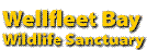 www.wellfleetbay.org/