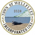 seal-wellfleet-000