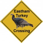 wild-turkey-crossing-sign
