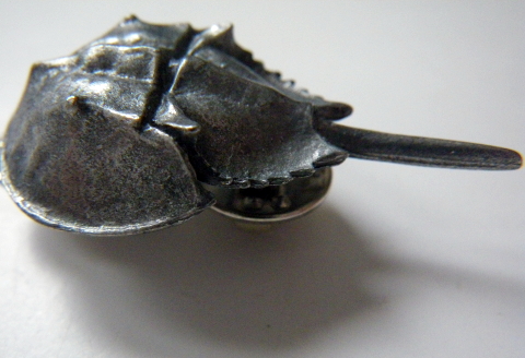Horseshoe Crab Pin 480