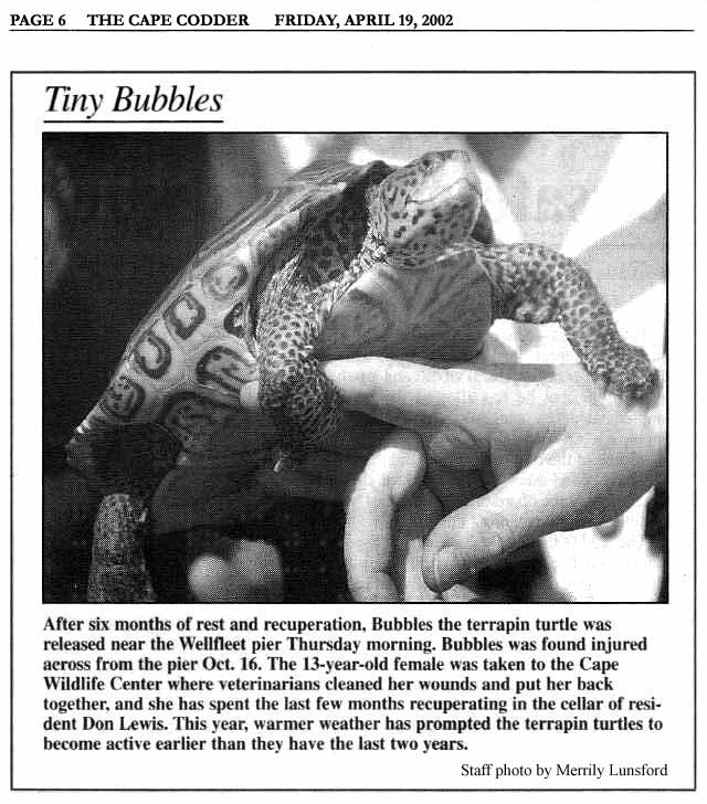 Cape Codder news article